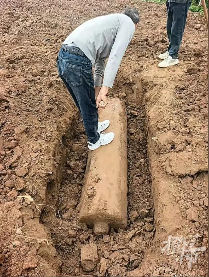 西安村民在菜地里挖出800年前大石柱,菜地主人说,这些年有人偷偷来这里寻宝过。(...