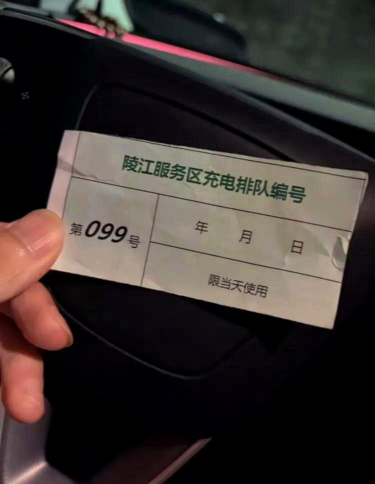 车主在高速路服务区排队取号99号，等了5个多小时。（取材自极目新闻）