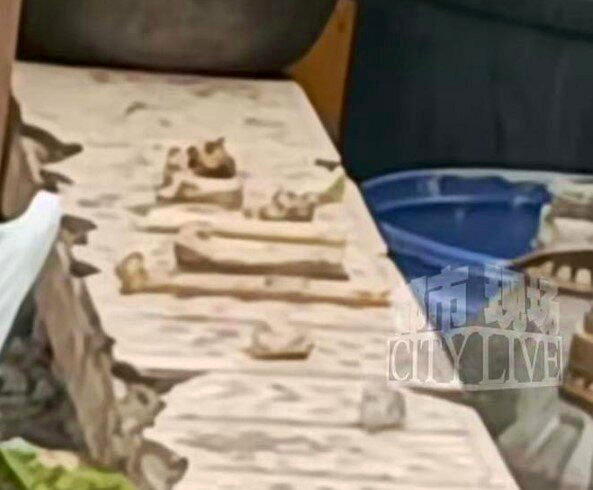 警方到场将坟挖开，发现部分尸骨。（取材自大风新闻）
