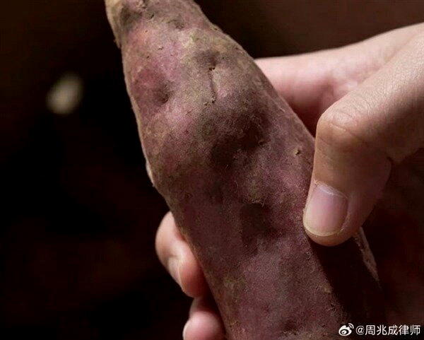 网购蜜薯引发退货纠纷,商家从山东聊城开车到河北沧州取货,来回800公里只取回3斤...