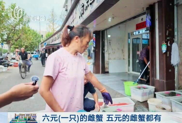 大闸蟹的季节又到来,但今年中国大闸蟹的价格明显低于往年。(取材自上观新闻)