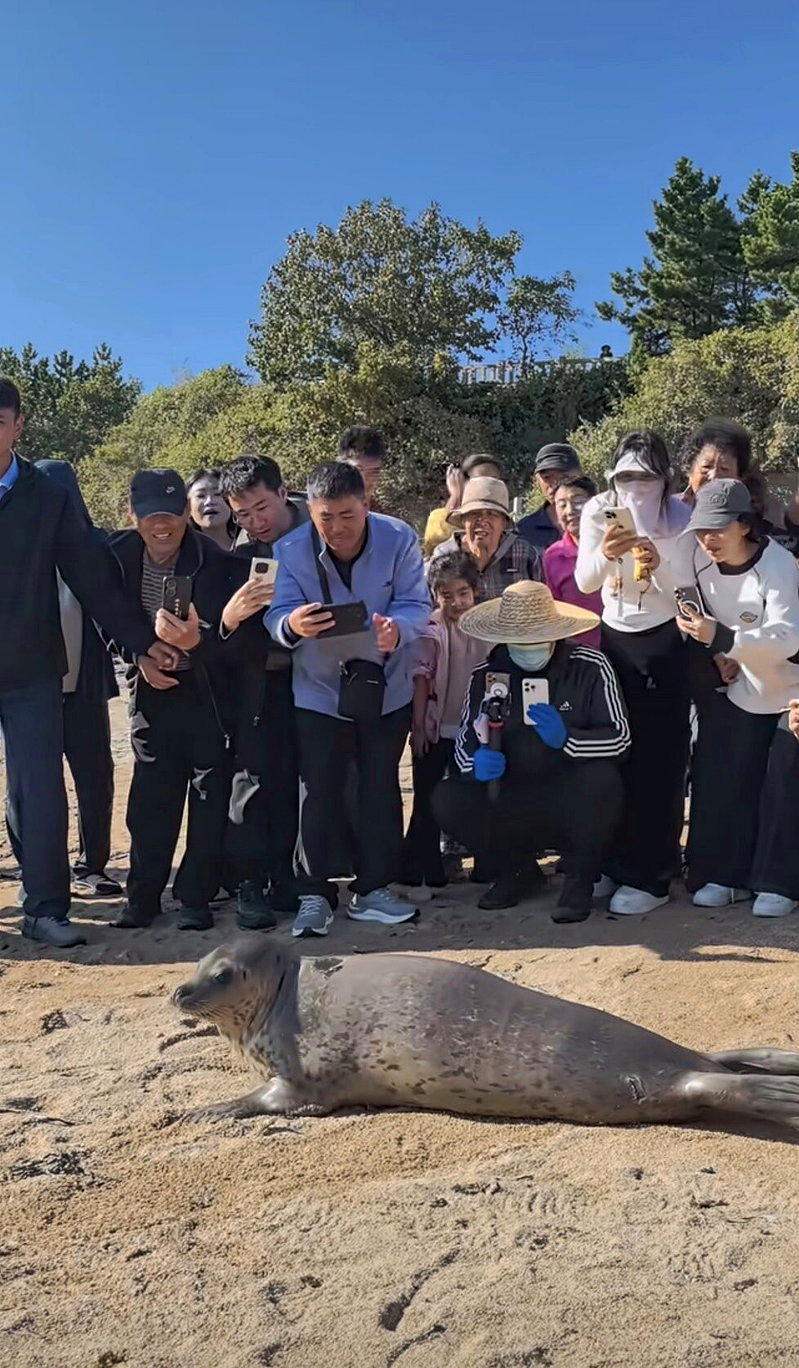 成群游客在娜娜上岸时挤着拍照。(视频截屏)