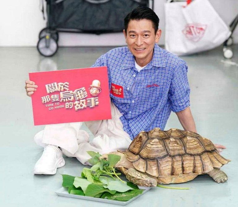 刘德华投资电影「乌龟的故事」 笑称「牠」片酬最高 刘德华监制陪同片中灵魂吉祥物金大龟小陆出场。(视频截屏)