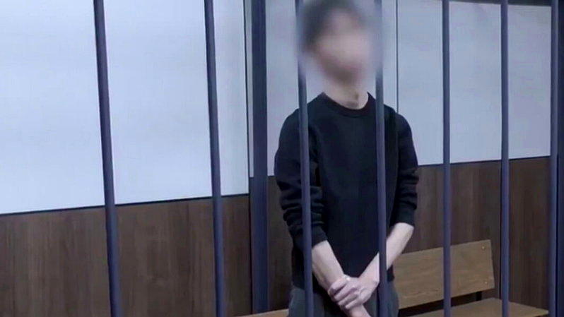 日本记者随后被押送至莫斯科，莫斯科地方法院已批准将其羁押至12月12日接受侦讯。...