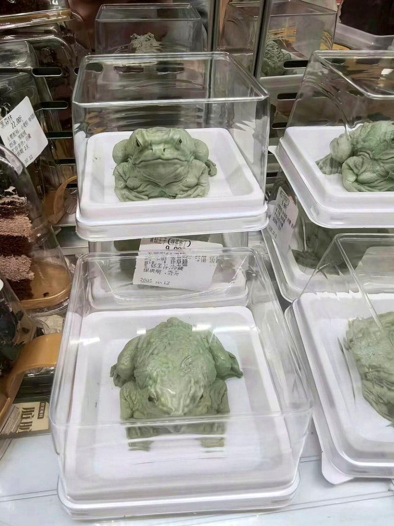 「青蛙王子」长得像蛤蟆?农大食堂9.9元抹茶蛋糕热卖 中国农业大学食堂近日推出一款外形酷似蛤蟆的小蛋糕,每块售价人民币9.9元,因造型...