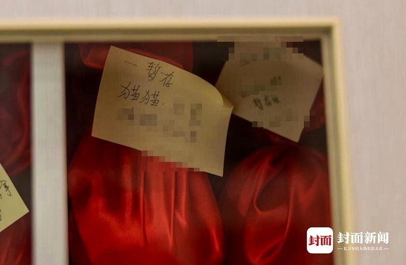 成都永新无害化处置有限公司暂存的火化后的宠物骨灰。(取材自封面新闻)