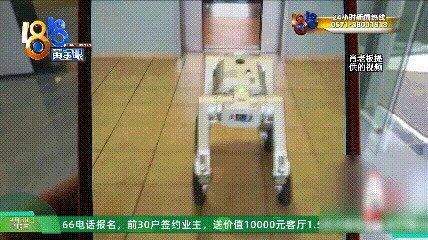 浙江温州肖老板订购4条机器狗,却因交货延迟、机器狗腿部不平衡,以及能否进行「二次...