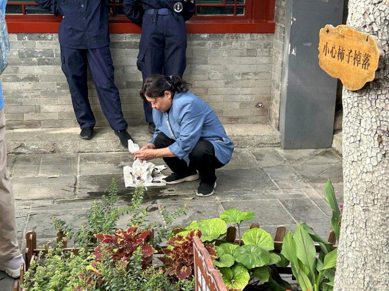 若有柿子自然掉落，会由现场清洁人员及时清理，维持院内环境整洁。(记者陈湘瑾／摄影...
