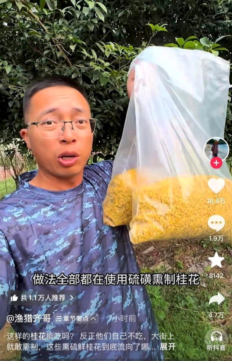 曾曝光「甲醛白菜」问题的博主「渔猎齐哥」，16日再揭露有阳朔商户用硫磺熏制桂花。...