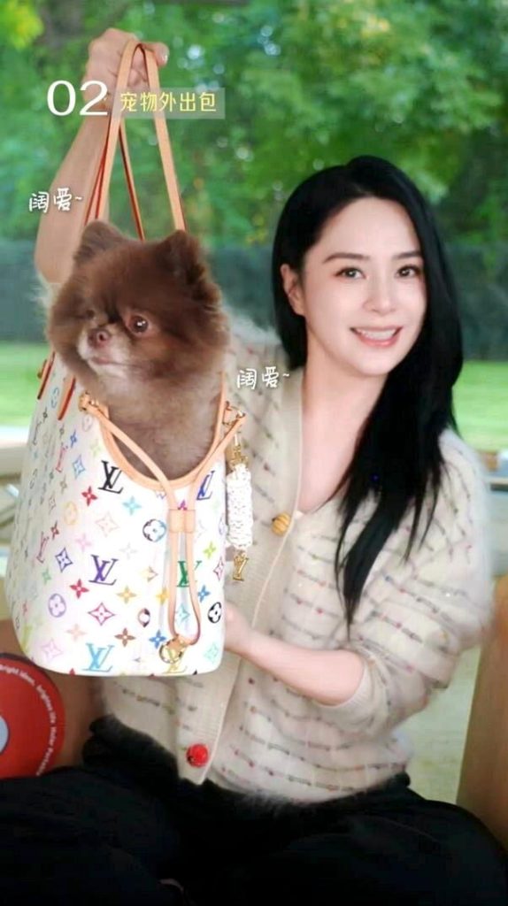 钟欣潼将爱犬Kuma放入LV与村上隆联名限量宠物袋，该包官方售价2万7900港元...