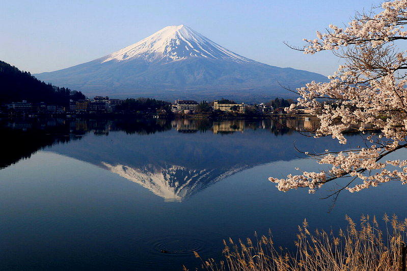 日本山梨县富士河口湖町河口湖畔。路透